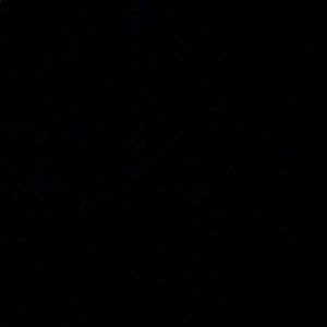 Meet your Posher, Edna